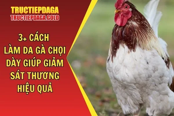 3+ Cách Làm Da Gà Chọi Dày Giúp Giảm Sát Thương Hiệu Quả