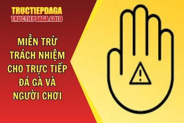 Quy Định Miễn Trừ Trách Nhiệm Với Trực Tiếp Đá Gà Và Người Dùng