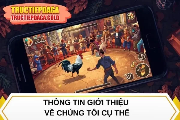 Thông tin giới thiệu về chúng tôi cụ thể