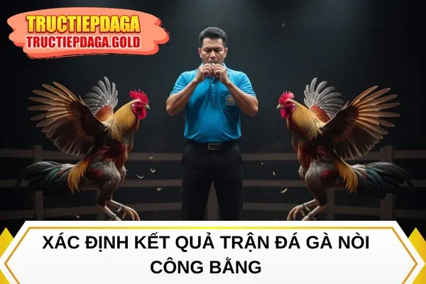 Xác định kết quả trận đá gà nòi công bằng